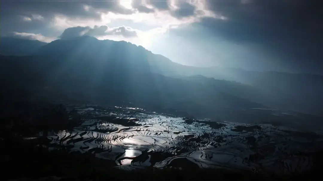 《算法困境》当AI学会偏见